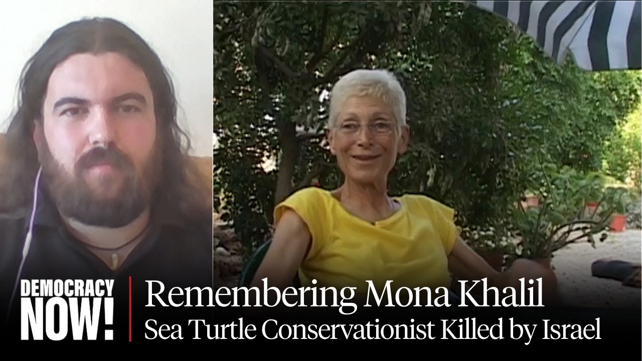 Lebanese Conservationist Mona Khalil, 76, Killed by Israel
