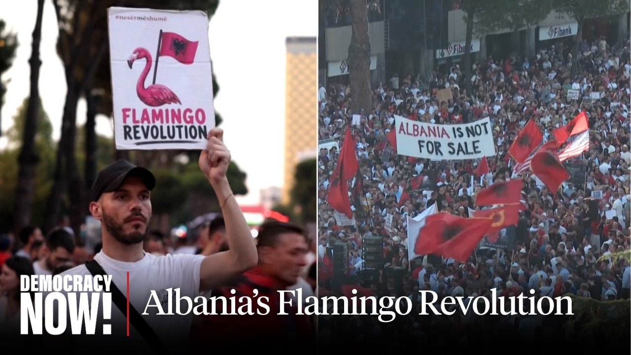 Albania's Flamingo Revolution: Protests Against Kushner-Trump Luxury Resort C...