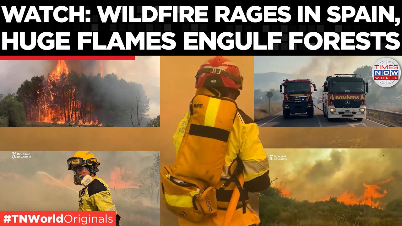 SPAIN WILDFIRE: Massive Flames Tear Through Castellon, 800 Hectares Burned | Times Now World