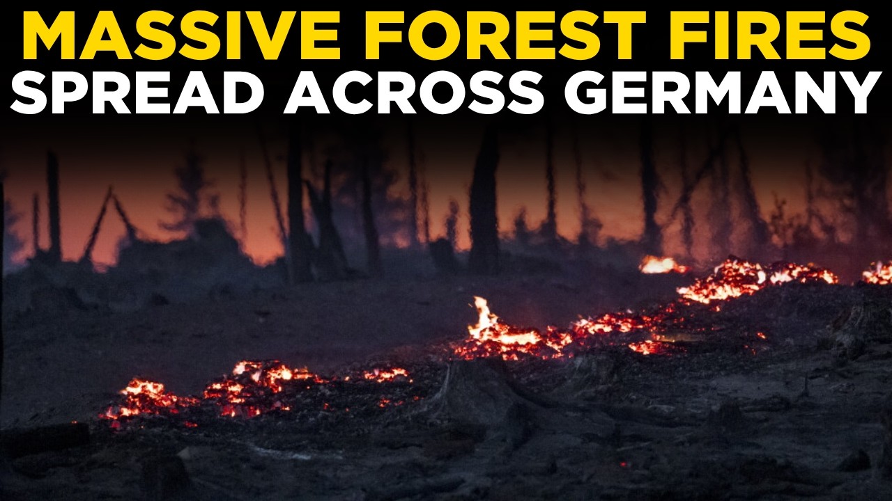 GERMANY WILDFIRE LIVE | Massive Forest Fire Encroaches On Homes; 2000+ Evacuated In Hürtgenwald