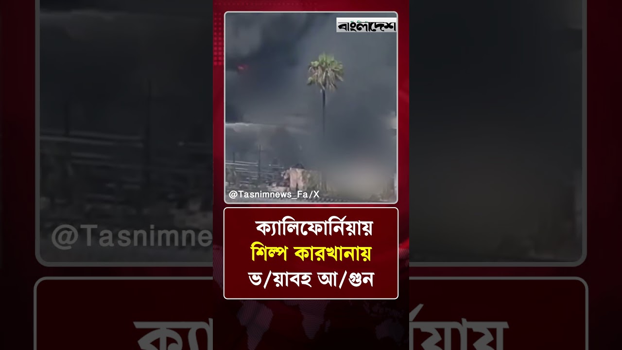 ক্যালিফোর্নিয়ায় শিল্প কারখানায় ভ/য়াবহ আ/গুন | News Update | Protidiner Bangladesh
