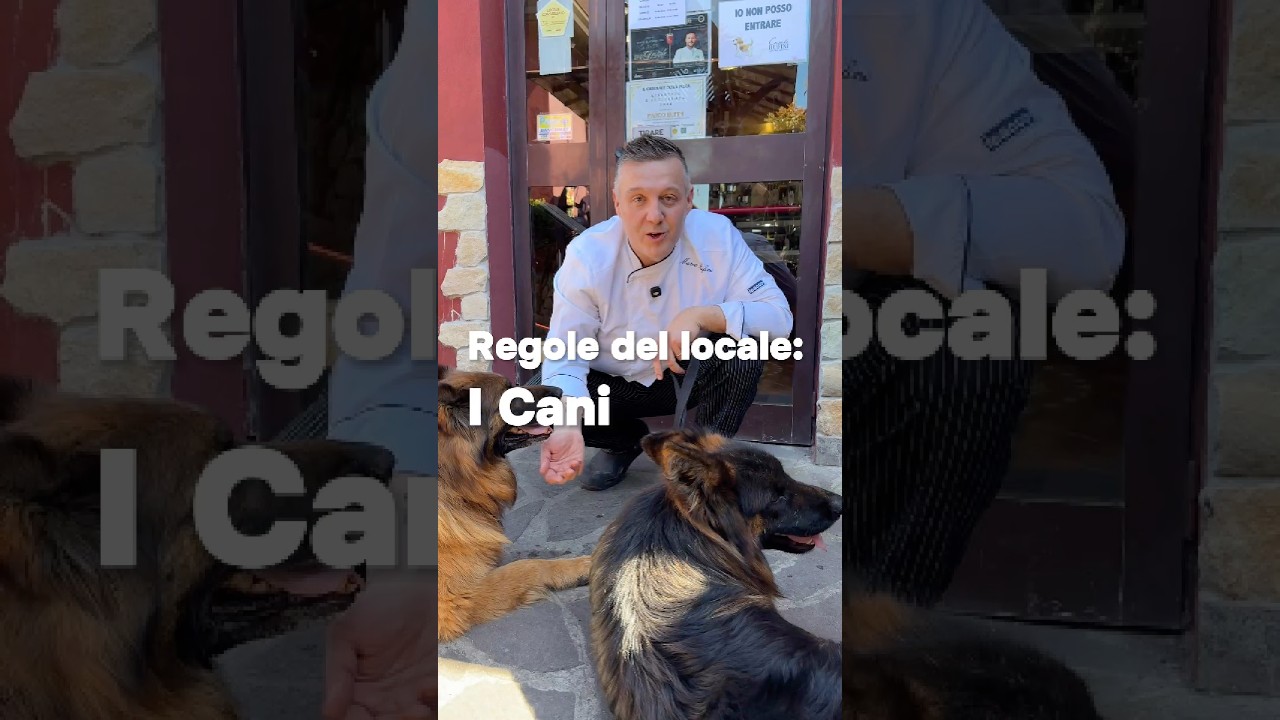 I CANI AL RISTORANTE #chefrufini