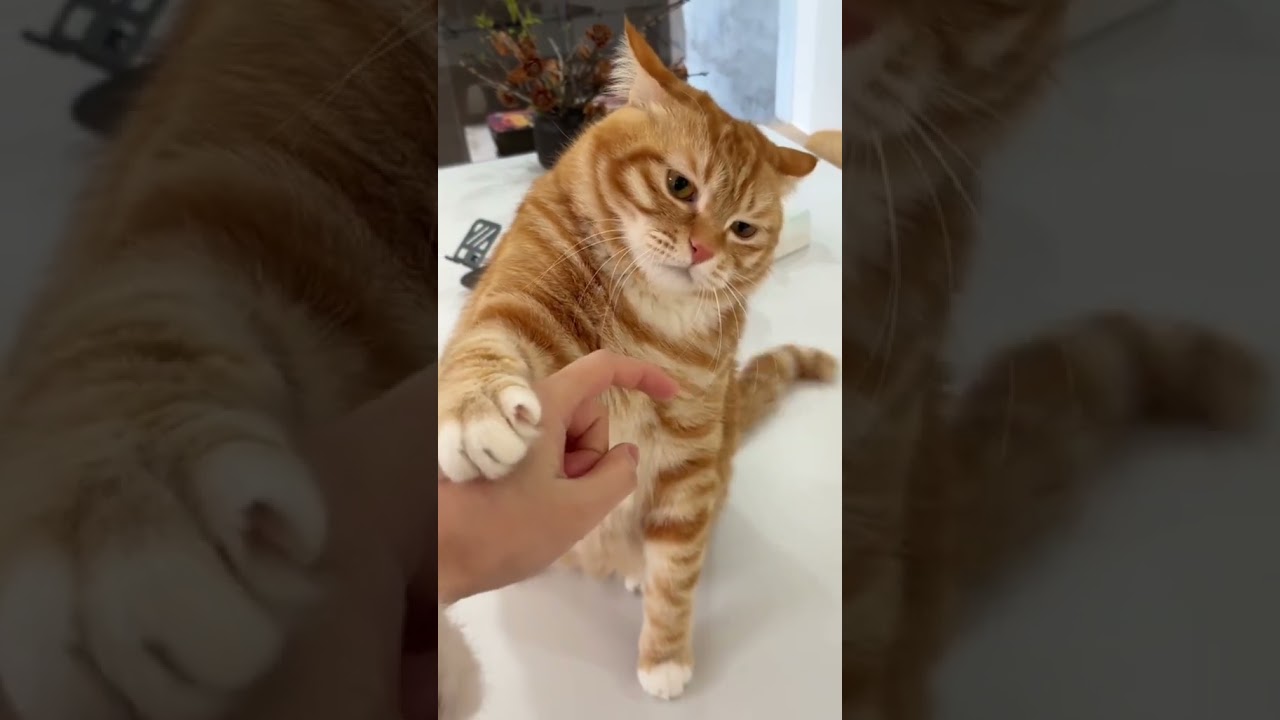Stop Right There!